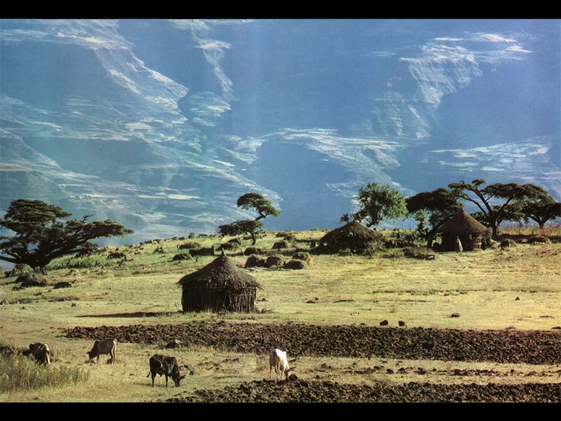 paysage2.jpg