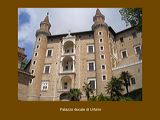 11_urbino