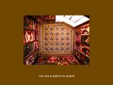 14_studiolo_plafond1