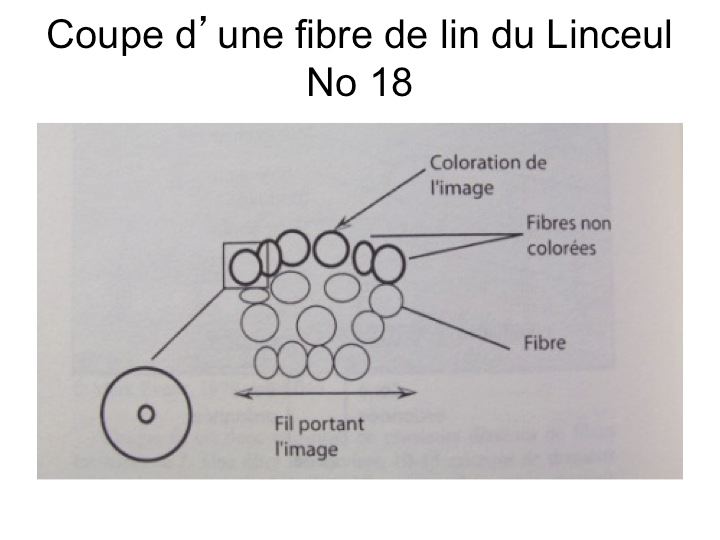 diapositive18.jpg